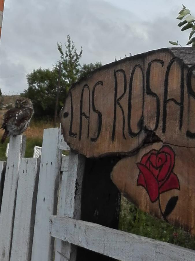 Cabanas Campestres Las Rosas Punta Arenas Exterior photo